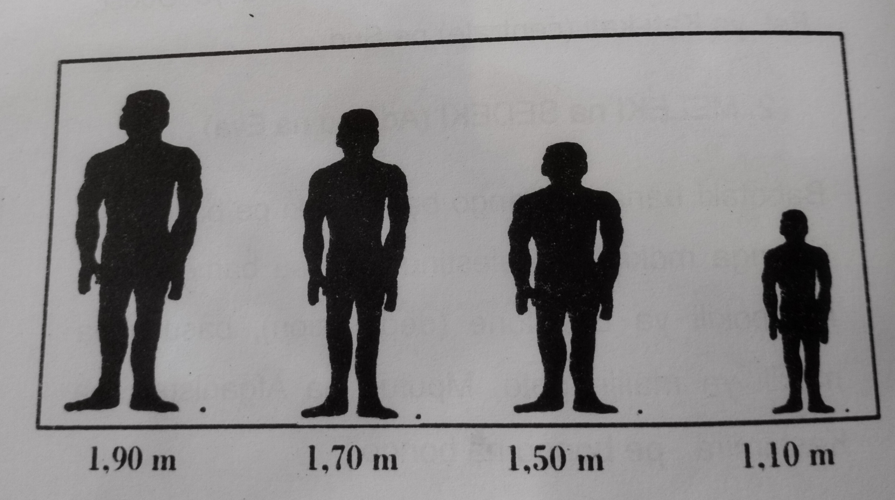 68d50781a0174.jpeg
